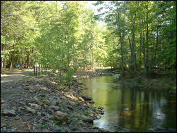 Picture of Douthat State Park.